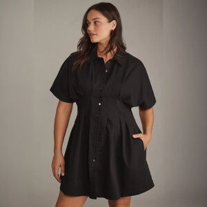 NWOT The Tobie Button-Front Pleated Shirt Dress by Exquise: Mini Edition